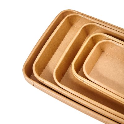  Disposable Food Tray